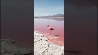 Explore Project Nature