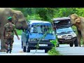 Heartpounding escapes   wild elephant attack to  sri lankan army van