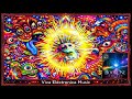 BookOne - Solace (Original Mix) [ViVA ELECTRONiCA BLACK] (HQ)