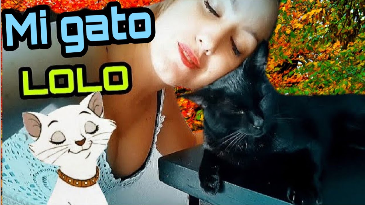 Asmr | HOUSE TOUR Y ADOPCION DE MI GATO LOLO