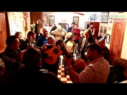 #Flamencología Panda Primera