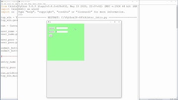 Python Tkinter - 8 - Labels and Entry Fields