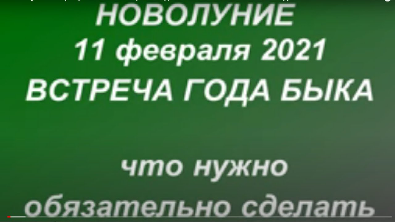 1 Февраля Новый Год 1 Февраля Новый Год