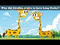 Why Did Giraffes Evolve To Have Long Necks More Videos Aumsum Kids Cartoon Science 