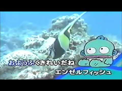 マンボウdeマンボ