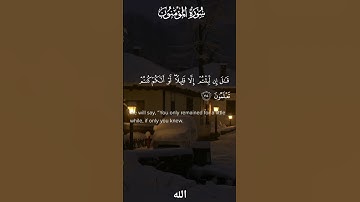 أكتب شيء تؤجر عليه 💕#الله #قرآن #ياسر_الدوسري #آيات_الرحمن #اكسبلور   #مزامير_الفرقان #quran #verses