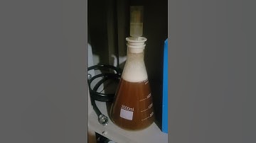 We caught some Wild Yeast!!!