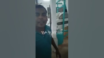 1TPH Lentil peeling and brushing flour machine