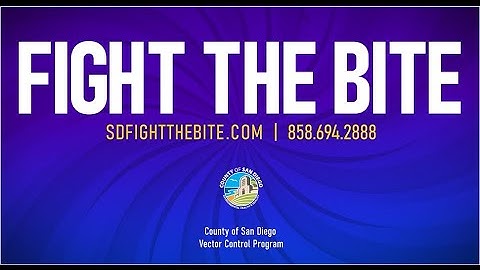 Fight the Bite: Dengue Fever Prevention 2025