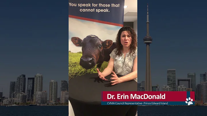 WSAVA/CVMA 2019 Joint Congress - Dr. Erin MacDonald