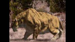 Smilodon (The Giant Titans Of The Ice Age) Sounds
