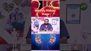 🩺 How to Know Your Kidney Disease Stage?