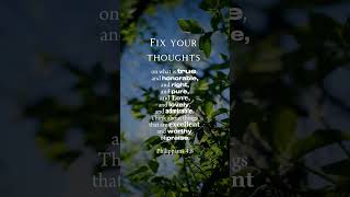 Fix Your Thoughts On What Is True/Honorable/Right/Pure/Love/Lovely/Admirable/Excellent