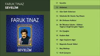 Anlamsız - Faruk Tınaz Resimi