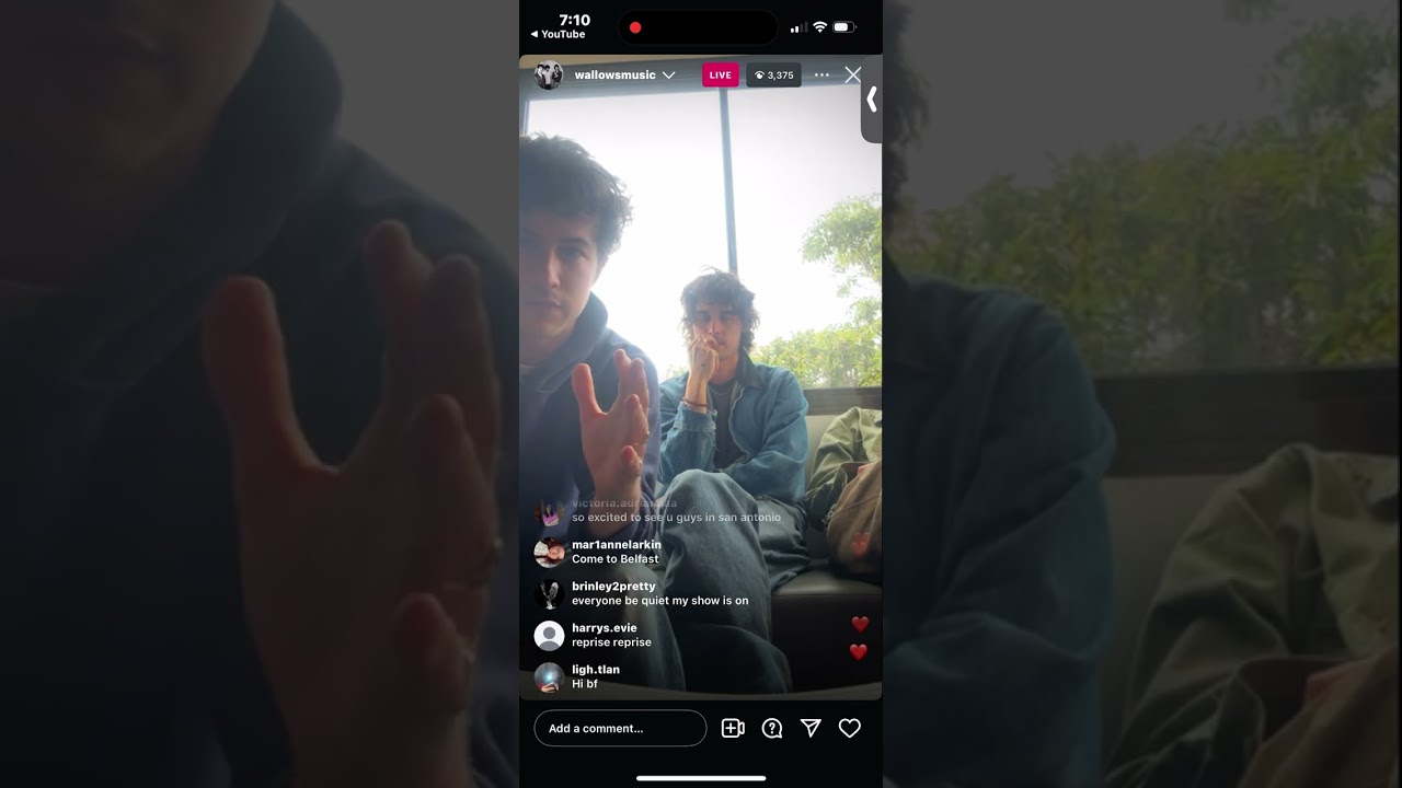 Wallows instagram live 3.29.2025