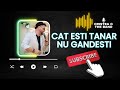 🔥 Cristea &amp; The Band – Cât Ești Tânăr, Nu Gândești | Hora lenta - | 2025 🎶💃