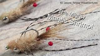 Mantis Shrimp