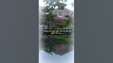 Bạn đã từng ngủ thiếp đi vì khóc chưa? #yeucuocsong #tamtrang #cuocsong #sucsongtre