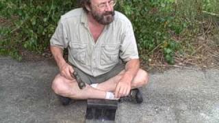 EatTheWeeds: Episode 107: Cabbage Palm