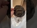 rotesi capelli invio immediato