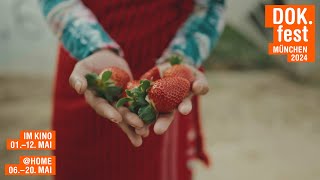 The Pickers Dokumentarfilm Trailer Dok.fest 2024