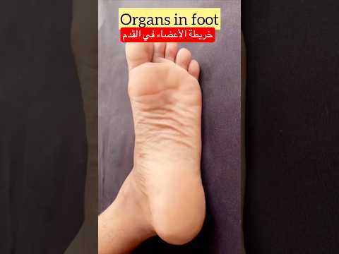 علاج كبدAcupressure In Feet For Liver Treatment علاج الكبد Acupressure Liver Liverhealth Feet 