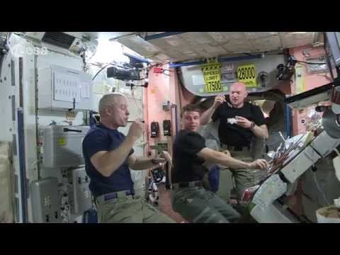 Space Station Astronauts