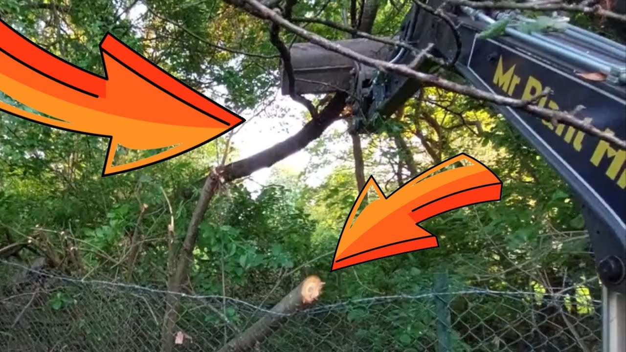 Unleashing the Power of Excavators Andrew Camarata TreeCutting Method