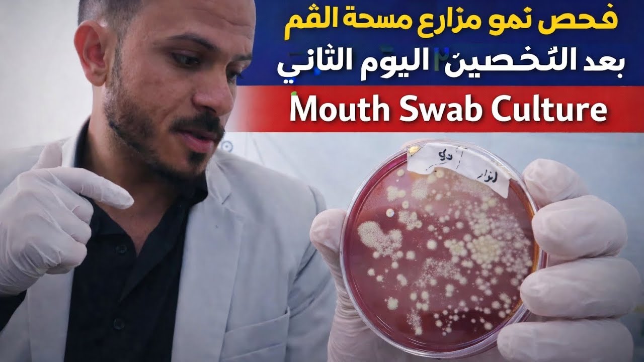 قراءة المزرعة بعد التحضين |Gram Stain و Catalase test