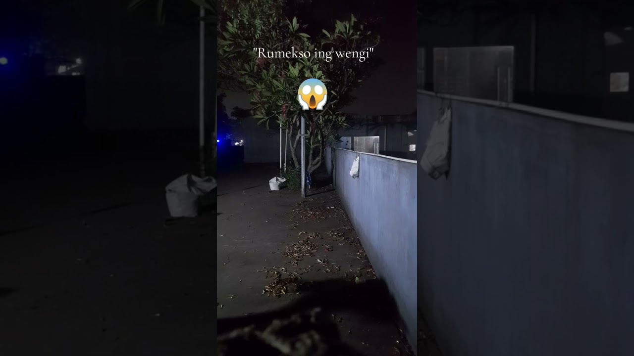 Kidung rumekso ing wengi #Teguh suseno #fyp 