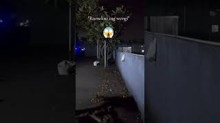 Download Lagu Kidung rumekso ing wengi #Teguh suseno #fyp  MP3