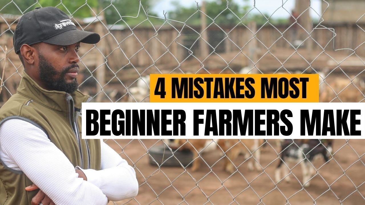 НЕ ПОВТОРЯЙТЕ ЭТИ ОШИБКИ ПРИ СОЗДАНИИ ЖИВОТНОВОДЧЕСКОЙ ФЕРМЫ В АФРИКЕ