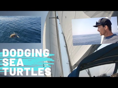⁣Southbound On The Mexican Coast |  Yelapa To Tehuamixtle and Perula  | Vlog # 36