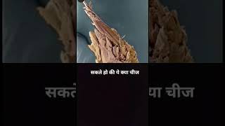 #facts #amazingfacts #factsinhindi #science #space #thefact #ytshorts