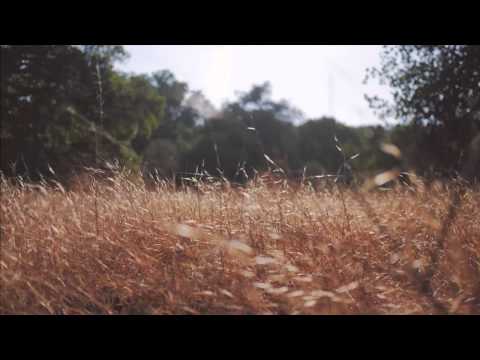 نشيد صلى عليك الله يا خير الورا