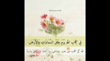 سورة التوبة: ٣٦|At Taubah: 36|سعود الشريم|Sheikh Shuraim|قرآن اردو ترجمہ|Quran with Urdu Translation