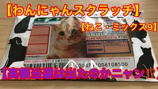 本日中に売れなければ300円❗️最新作✨ポスカサイズ額付き「千載一遇にゃんこ」 あけましておめでとうごさいます！