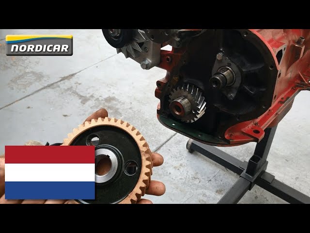 V-riem, distributieriem voor naaimachine (motor), aanbouwmotor, rugzakmotor, verschillende maten (240), oranje V-riem, distributieriem voor naaimachine (motor), aanbouwmotor, rugzakmotor, verschillende maten (240), oranje