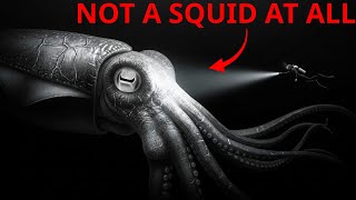 Why Evolution Keeps Creating the Same Giant Beasts Over and Over