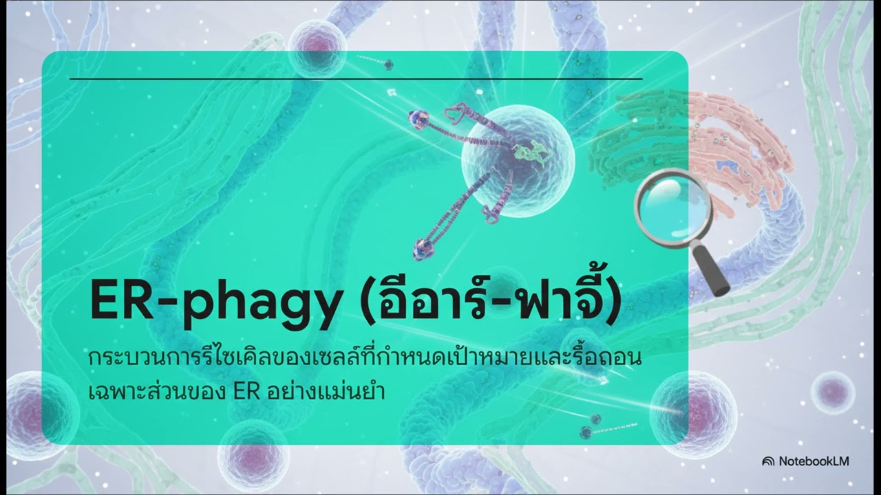 เจาะลึกความลับการชราภาพ