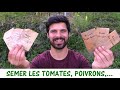 Semer les tomates poivrons aubergines