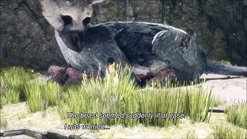 The Last Guardian-  Walkthrough Gameplay - Part 10 -  Trico Gets Hungry