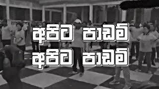 C Chain - Apita Paadam (  Lyric Video)