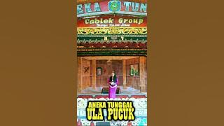 ULA PUCUK Sandiwara Aneka Tunggal