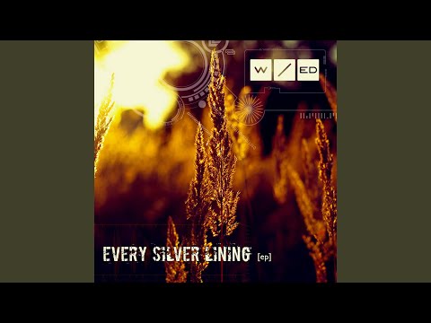 WANT/ed — Let Is Get Entwined [Vulture Bay Mix] feat. Patrik Hansson