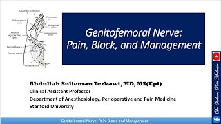 Genitofemoral Nerve: Pain, Block, and Management