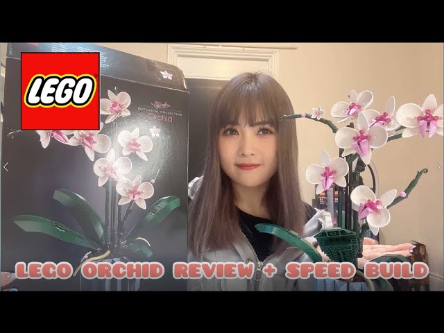 Review: LEGO 10311 Orchid (2022 Botanical Collection) - Jay's Brick Blog