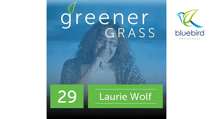 Laurie Wolf   Cooking Cannabis