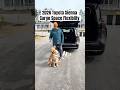 Need More Cargo Space? Watch This 2026 Toyota Sienna Transform!