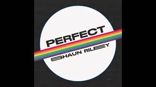 Perfect (Ed Sheeran cover) [AUDIO]